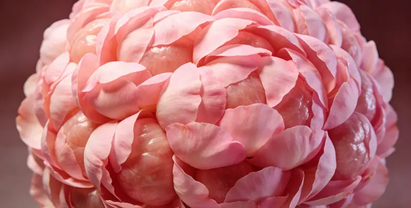 驻马店BRCA1/2乳腺癌卵巢癌基因检测图片1