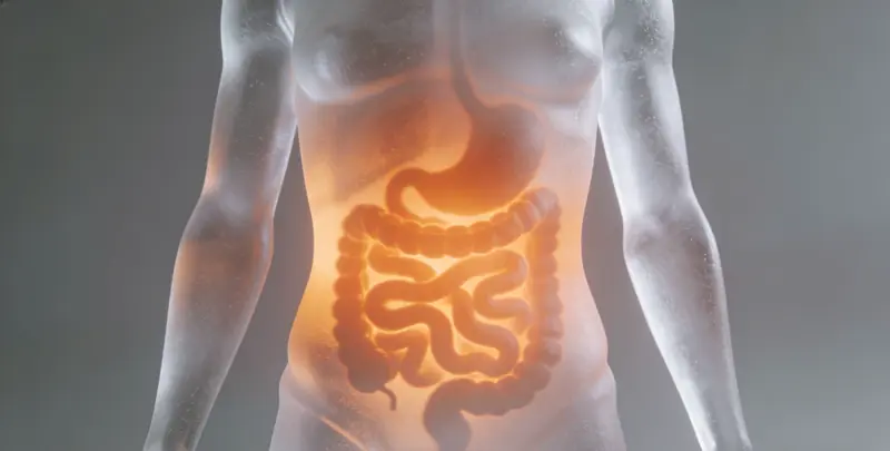 驻马店胃癌靶向用药39基因检测（组织）图片1